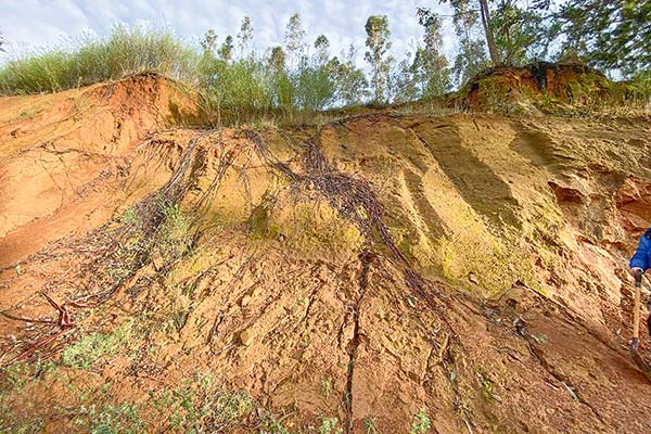 <p>Minera Aclara reformula proyecto de tierras raras en Penco: hará dos EIA y no operará en áreas con bosque nativo</p>