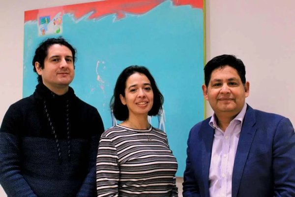 <p>Linco Ñanco, Javiera Silva y Cristián Bustos, fundadores de Beeok.</p>