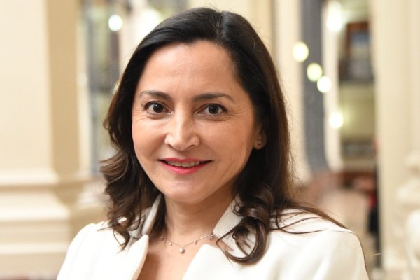 Marcela Godoy, primera mujer en presidir el Segundo Tribunal Ambiental