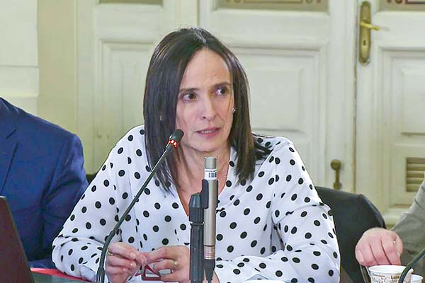 <p>La directora de Chile Compra, Verónica Valle, expuso en el Congreso, sobre el incidente.</p>