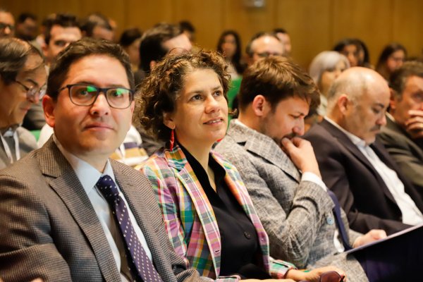 <p>Ministerio del Medio Ambiente lanza Sistema de Compensación de Emisiones del Impuesto Verde para fomentar la reducción de contaminantes</p>
