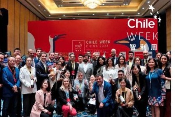 <p>Boric entrega certezas a empresarios chinos: “Chile ha sido, es y seguirá siendo serio y responsable”</p>