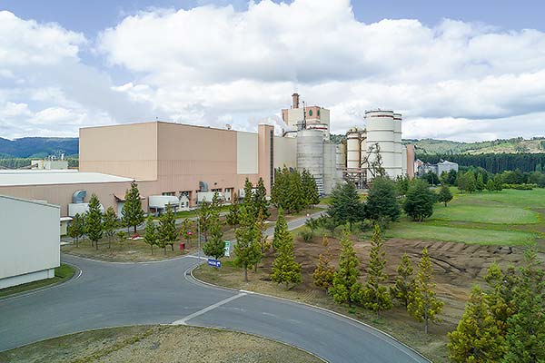 <p>Arauco desvincula a 300 trabajadores tras fusión de dos áreas de la empresa</p>
