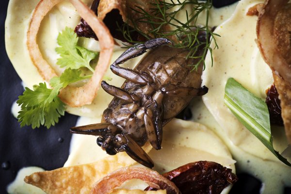 Insectos comestibles y plantas exóticas podrían ser claves en el futuro de la alimentación