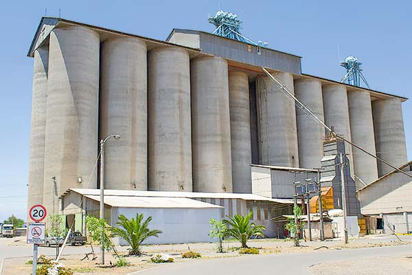<p>Molinera San Cristóbal invertirá US$ 50 millones en nueva planta en Peñaflor</p>