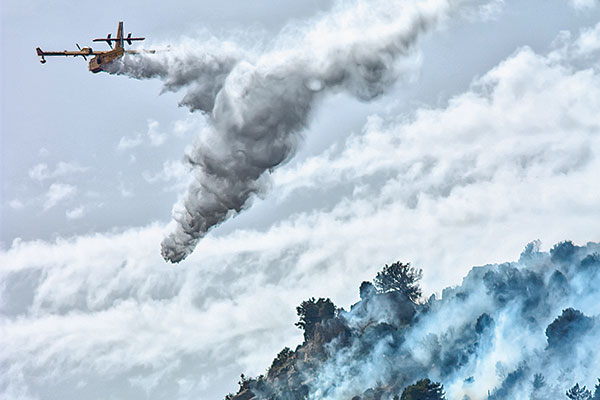 Incendios forestales son más devastadores y Estados desembolsan cifras millonarias