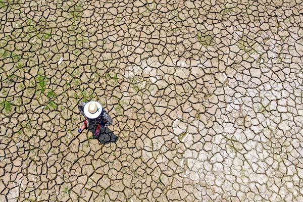 Sector agrícola absorbe el 23% de las pérdidas económicas en Latinoamérica por desastres naturales