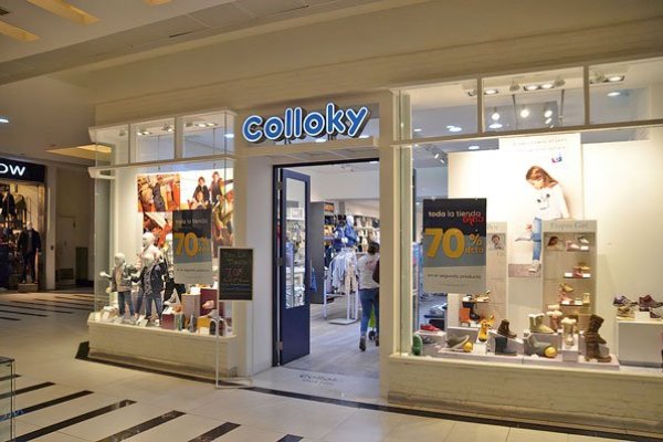<p>Millonario fraude y sabotaje informático de trabajador de matriz de Colloky y Opaline</p>