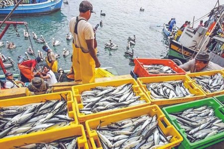 Las cifras detrás de la peor crisis pesquera de Perú en 25 años