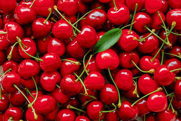 <p>Las empresas que lideran la industria detrás del explosivo boom de las cerezas chilenas</p>