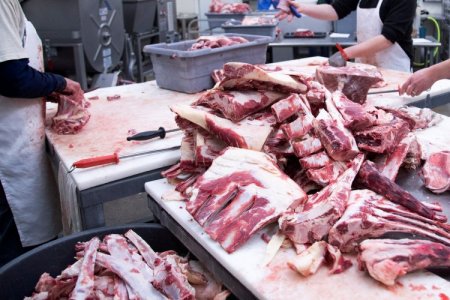Productoras de carne de Brasil caen en el tercer trimeste: ¿qué ocurre en la industria?
