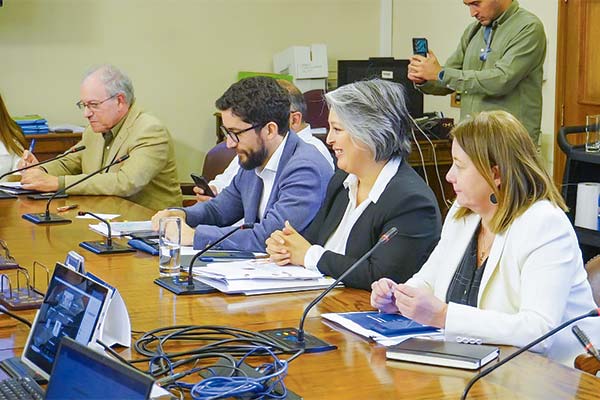 Trabajo ingresará el próximo mes proyecto para incentivar el empleo