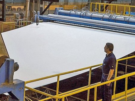 La fuerza de la celulosa en América Latina: ¿por qué su precio continúa creciendo?