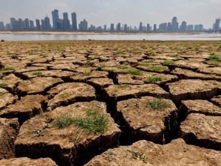 ¿Cómo llega Latinoamérica a la COP28?: los compromisos climáticos de los principales mercados regionales
