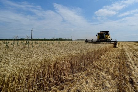 Perú: Se duplican precios de seguros agrarios ad portas de El Niño