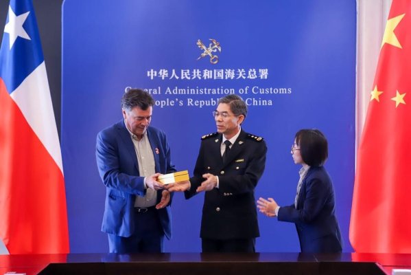 <p>Servicio aduanero de China autoriza por primera vez el ingreso de duraznos y damascos chilenos a ese mercado</p>