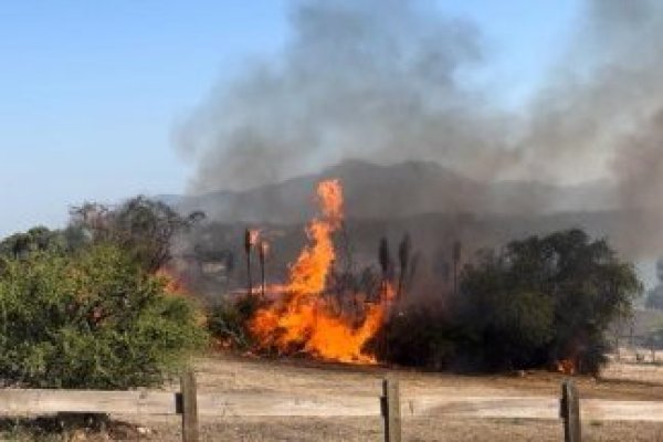 Incendios ya consumen más de 800 hectáreas en la región de Valparaíso