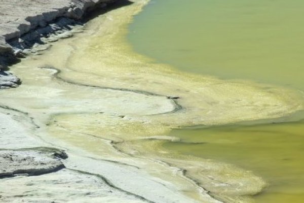 Canadiense Wealth Minerals busca fondos antes de la apertura del litio en Chile