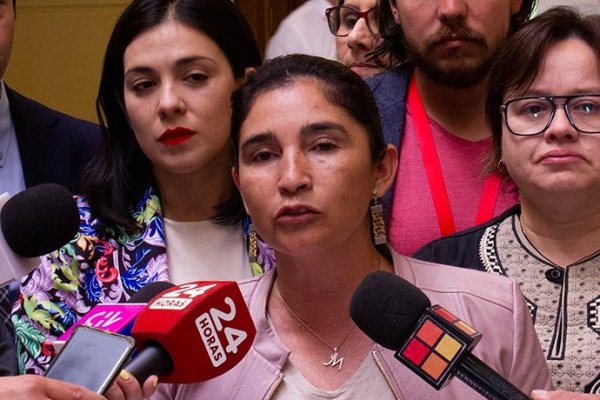 Diputada Ahumada citará al ministro Pardow a la Comisión de Energía por tarifas eléctricas