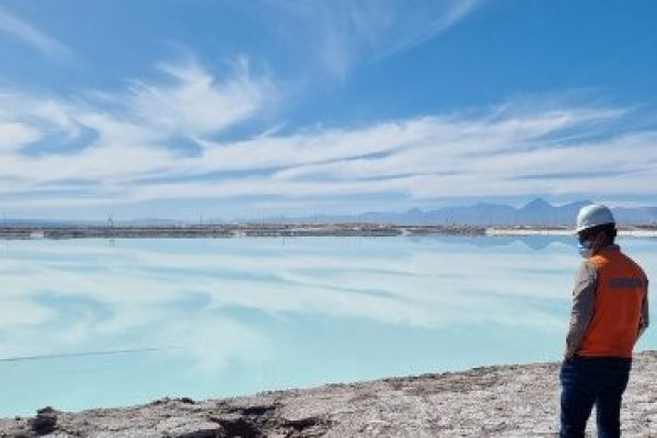 El gigante químico alemán BASF considera un proyecto de una planta de cátodos de litio en Chile