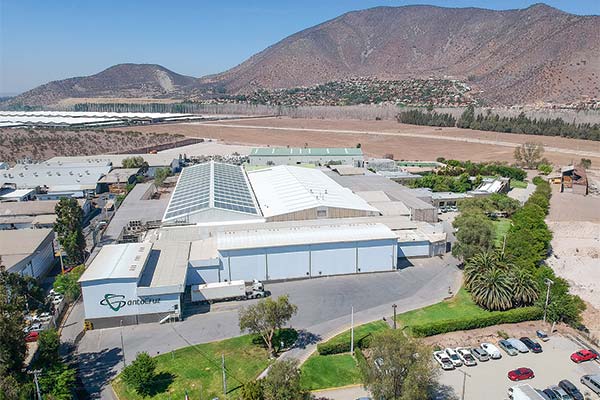 <p>Exportadora Santa Cruz solicita una nueva reorganización en 12 meses: pasivos superan los $ 55 mil millones</p>