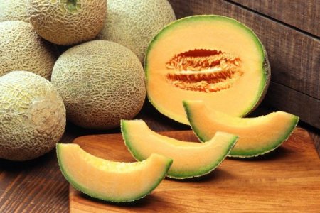 Exportación de melones mexicanos en jaque, tras casos de salmonelosis en Estados Unidos y Canadá