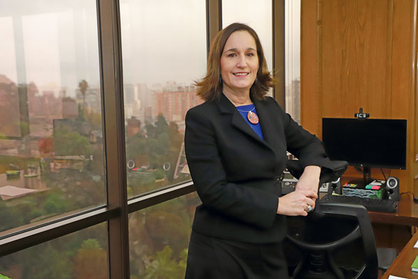 <p>Valentina Durán, directora ejecutiva del SEA. Foto: Julio Castro</p>