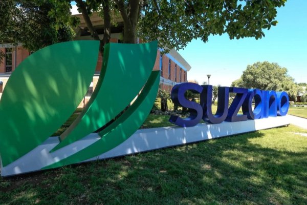 Gigante de celulosa Suzano compra fondos forestales administrados por BTG en un acuerdo por US$ 376 millones