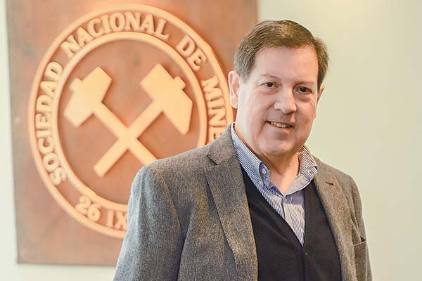 <p>Jorge Riesco, presidente de Sonami. Foto: Julio Castro</p>