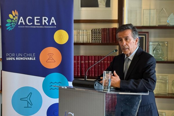 Exsubsecretario Sergio del Campo, nuevo presidente de Acera, marca posiciones y acusa falencias en diseño de licitación de almacenamiento