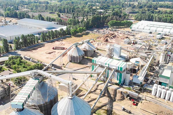 <p>El desafiante presente de Masisa tras vender su última planta en México</p>