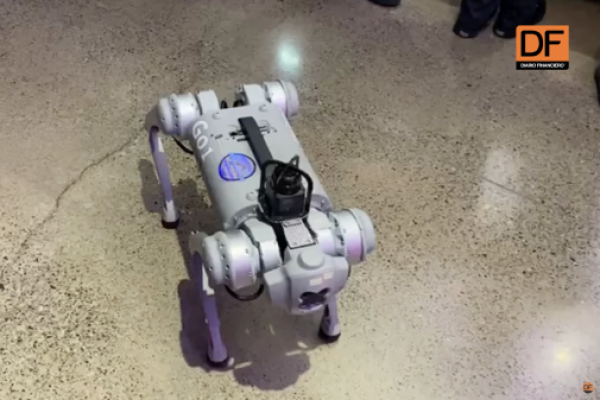 Ahora en DF | Los robot que trae el Congreso Futuro 2024