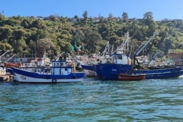 <p>Alimentos Marinos y el proyecto de ley de pesca: “La considero una propuesta odiosa que castiga en gran medida al sector pelágico industrial”</p>