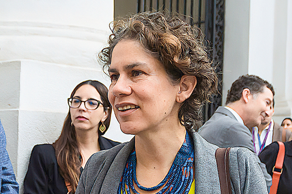 <p>Proyecto que fortalece SMA sufre traspié al inicio de su tramitación: diputados critican a ministra Rojas por reunión con lobista y suspenden comisión</p>