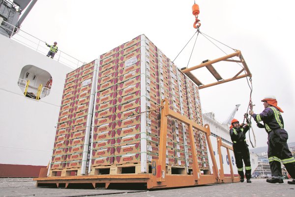<p>23 exportadoras chilenas acuden a la Corte Suprema para revertir resolución del TDLC</p>