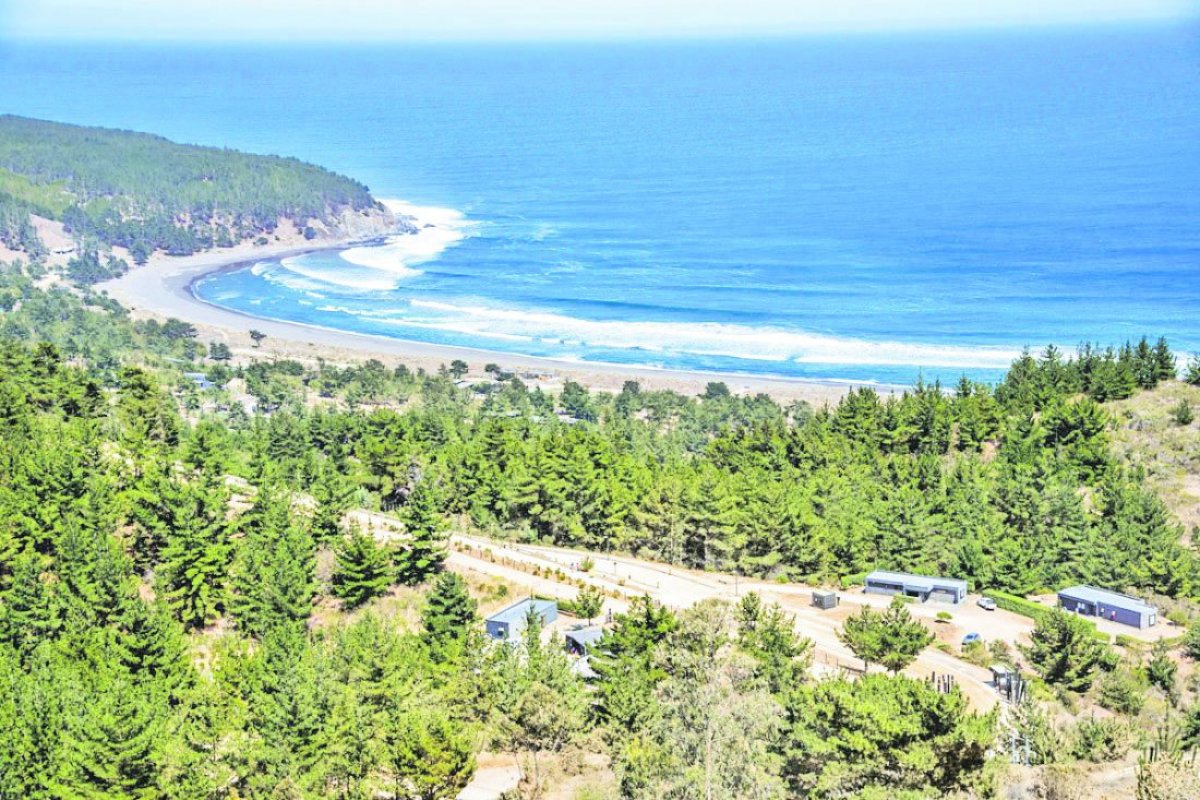 <p>Superior a casos de colusión: Policía Local de Litueche multa a inmobiliarias de Punta Puertecillo por más de $ 39 mil millones</p>