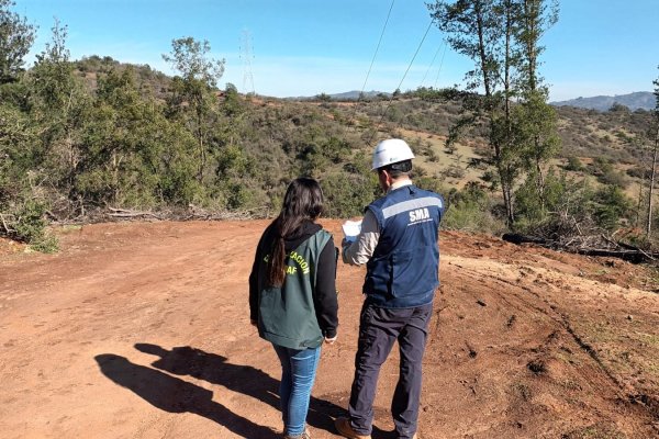 <p>SMA ordena la detención transitoria de 10 torres de transmisión eléctrica en construcción</p>