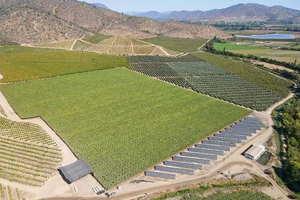 Compra de Verfrut podría llevar a Unifrutti a convertirse en la mayor exportadora de fruta fresca del país