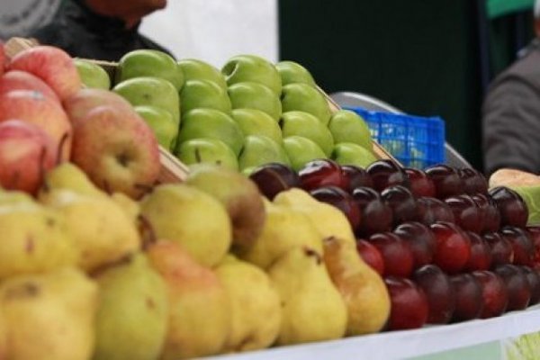 <p>Exportación de fruta fresca cae a su nivel más bajo en casi una década por los efectos del cambio climático</p>