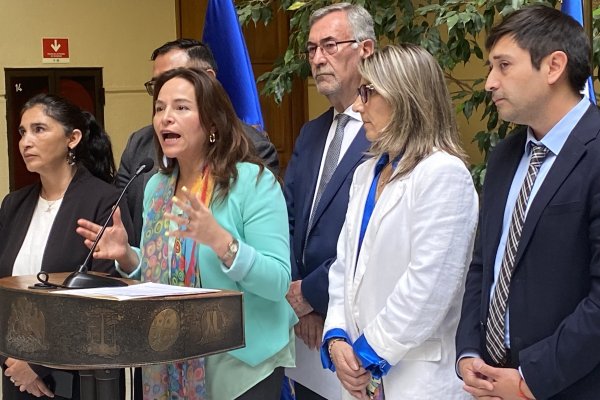 <p>Reforma de pensiones: demócratas le da un respiro al Gobierno y le entrega los votos para aprobar la idea de legislar</p>