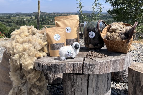 <p>Los pellets que desarrolla Woolchip a partir de lana residual de oveja.</p>