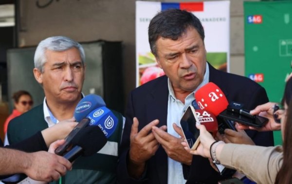 Minagri y el SAG decomisaron más de 1.000 toneladas de productos agropecuarios ilegales ingresados por el norte en 2023