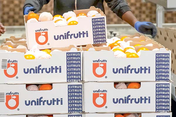<p>CEO de Unifrutti y compra de Verfrut: “Nos permite escalar nuestras operaciones”</p>
