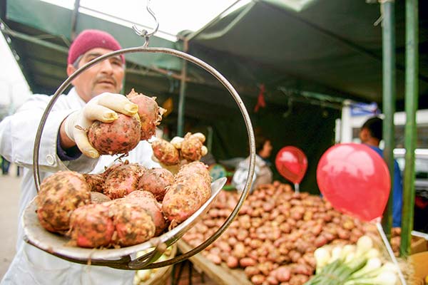 <p>La inflación aceleró retorno a la meta al partir el año y en el mercado la ven apenas por sobre 3% anual en enero</p>