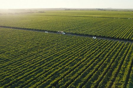 ProducePay levanta US$ 38 millones para impulsar agroexportaciones y promover la estabilidad financiera de agricultores