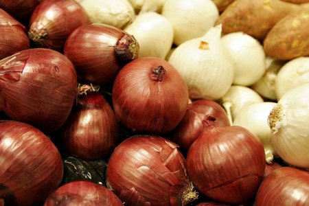Cebollas peruanas sacan ventaja en Europa por barreras para envíos de Egipto