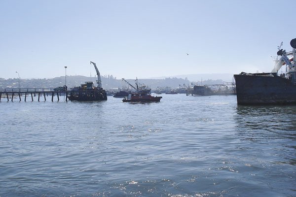 LyD analiza proyecto de Ley de Pesca: alerta por riesgos de mayores cuotas artesanales y licencias de explotación más cortas