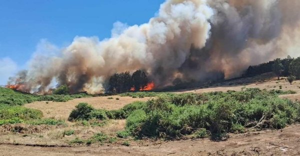Incendios forestales: solicitan evacuar comuna de La Araucanía por alerta roja