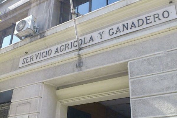 <p>Chile y Bolivia acuerdan certificación fitosanitaria electrónica para intercambio de productos agrícolas</p>