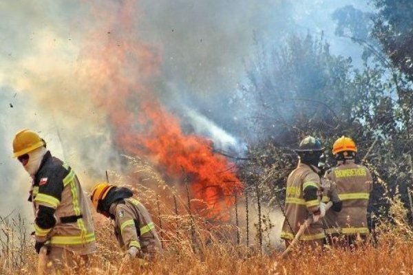 Cinco comunas se mantienen en alerta por incendios en La Araucanía, pero hay 90% menos de hectáreas quemadas que la temporada pasada